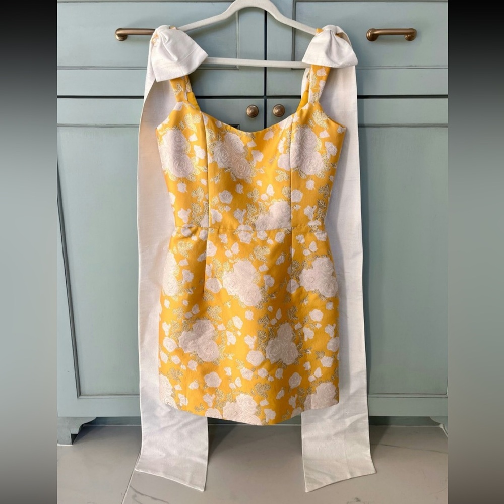 Markarian Celestia Brocade Mini Dress
